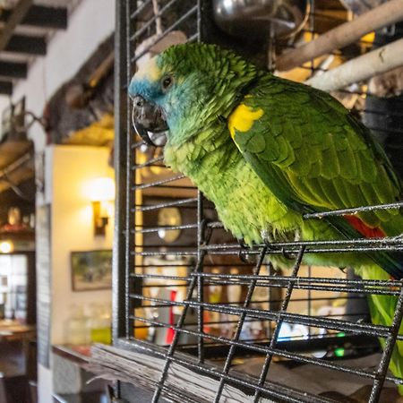 New Inn Кредитон Экстерьер фото